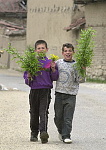 Kosovo trip
Two young ethnic Albanian boys in Vitina head home with fresh picked wildflowers.